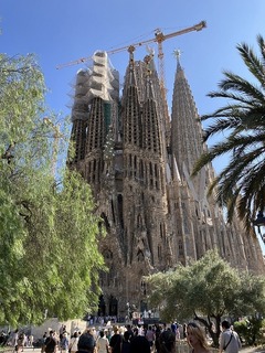 IMG_5731.jpg