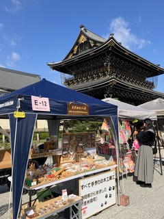 IMG_6872.JPEG