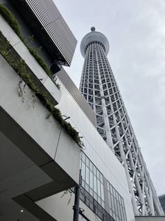 IMG_8142.JPEG