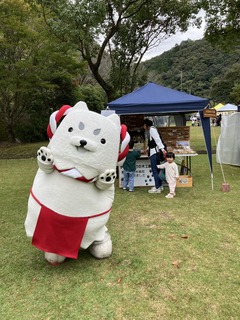 IMG_9460.JPEG